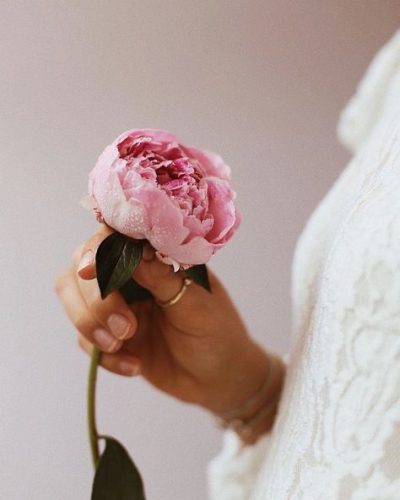 Trauma Rose