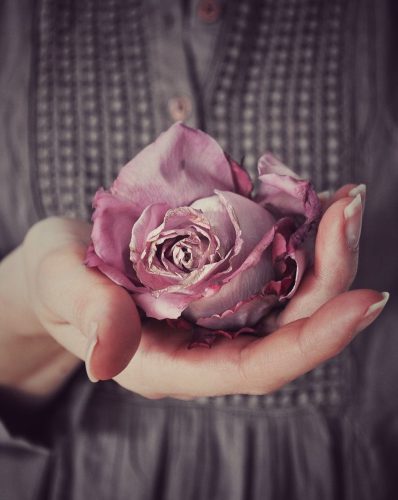 Trauma Rose2